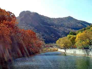 管家婆黑白马报图库，shuazhishu